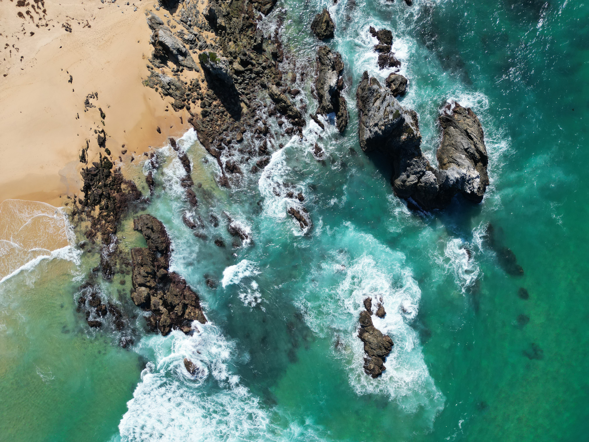 Nedd's & Rokeby's recovery drinks